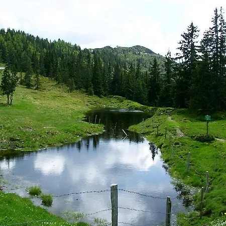 Apartment Unterfeld Alpbach