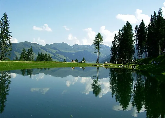 Unterfeld ألباخ